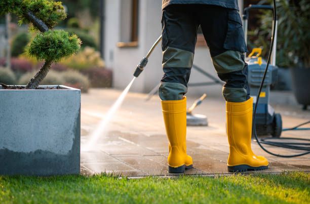Best Roof Pressure Washing  in Joplin, MO